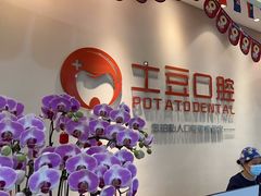 -土豆口腔(凤凰北总店)