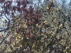 -宝岩生态观光园