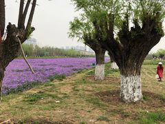 -汉长安城未央宫国家考古遗址公园