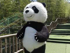 -陶祖圣境风景区
