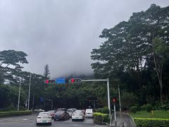 -深圳野生动物园