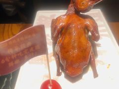 红烧乳鸽-大鸽饭(北京路店)