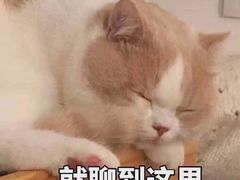 -火齐潮汕砂锅粥(五道口店)