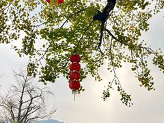-长兴八都岕景区