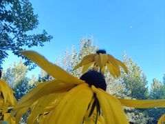 -回龙观体育文化公园