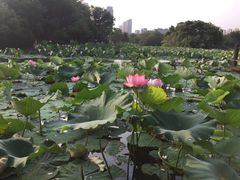 -艾溪湖湿地公园