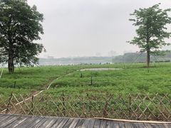 -海珠湖公园