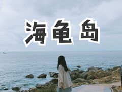 -广东惠东海龟国家级自然保护区