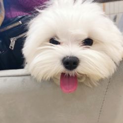 -盼兮·精致款式美甲沙龙
