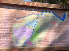 -汤旺河林海奇石景区