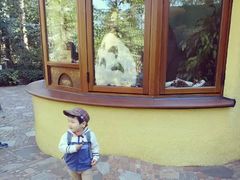 -三鹰之森吉卜力美术馆