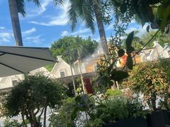 -花神·轻食简餐·咖啡馆·花卉绿植(荷兰花卉小镇店)