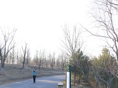 -东郊湿地公园