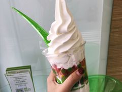 -Salud撒露欧洲冻酸奶(北苑上品店)