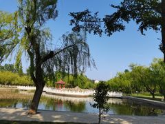 -莱西月湖公园