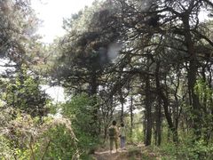 -沈阳辉山风景区