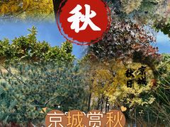 -Catail前苑(前门大街店)