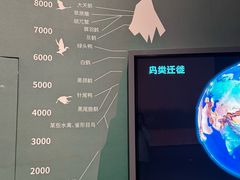 -中国湿地博物馆
