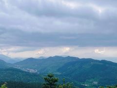 -武陵山森林公园