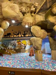 -卡通尼·Safari非洲探索乐园·生日会(金桥国际商业广场店)