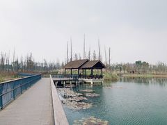 -白鹭湾湿地公园