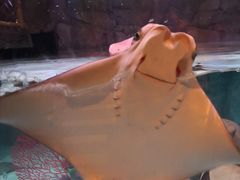 -沈阳海洋探索中心