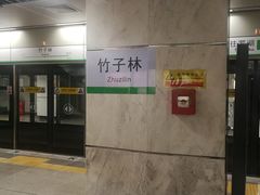 -竹子林(地铁站)