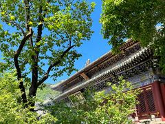 -潭柘寺景区