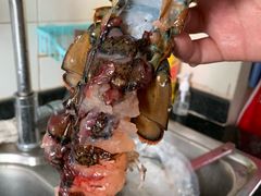 -盒马鲜生(红莲店)