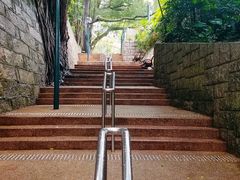 -九龙公园