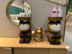 -飞行喵MR PILOT|猫舍·猫咖(静安大融城店)