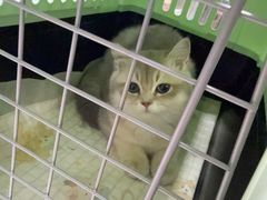 -嘉馨宠物医院·CT影像转诊·心脏科·犬猫全科诊疗中心(下沙大学城院区)