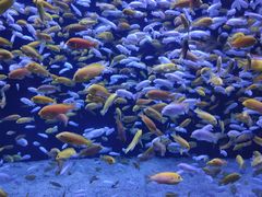 -成都浩海立方海洋公园