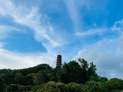 -红花山公园