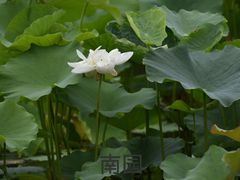 -国家植物园南园