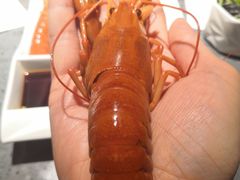 清蒸澳龙-虾胡闹龙虾馆(湄南河店)