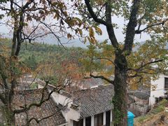 -塔川景区