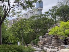 -莲花池公园