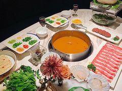 -汤城·料青山