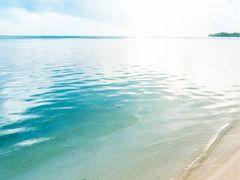 -印象·浅水湾(百乐门大厦店)