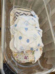 -杭州贝瑞斯美华妇儿医院·早孕·产检·儿科