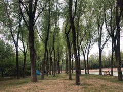 -森林公园(尖草坪区)