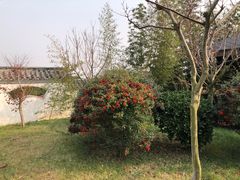 -威海天沐温泉度假区