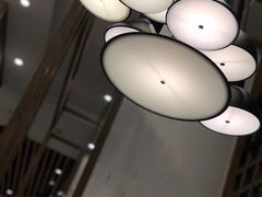 -Lotus 莲花空间(国贸商城店)