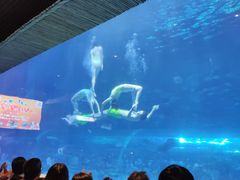 -华夏文旅海洋公园