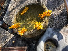 -鯛匠 HANANA