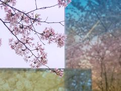 -龙美术馆(西岸馆)