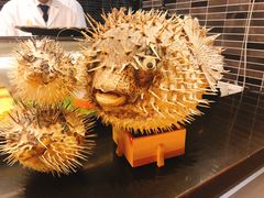 -金井日本料理(丽柏广场店)