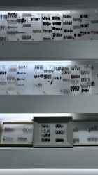 -芊冉•美甲美睫纹绣