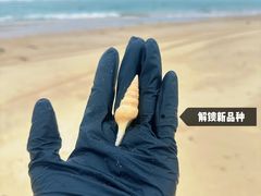 -滴水丹屏